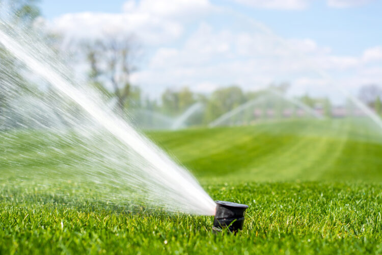 Residential Irrigation image