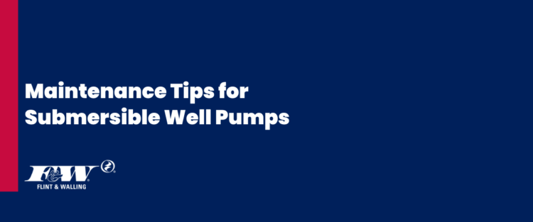 Maintenance Tips for Extending the Life of Your Submersible Well Pump image